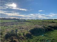 Waituna wetland restoration