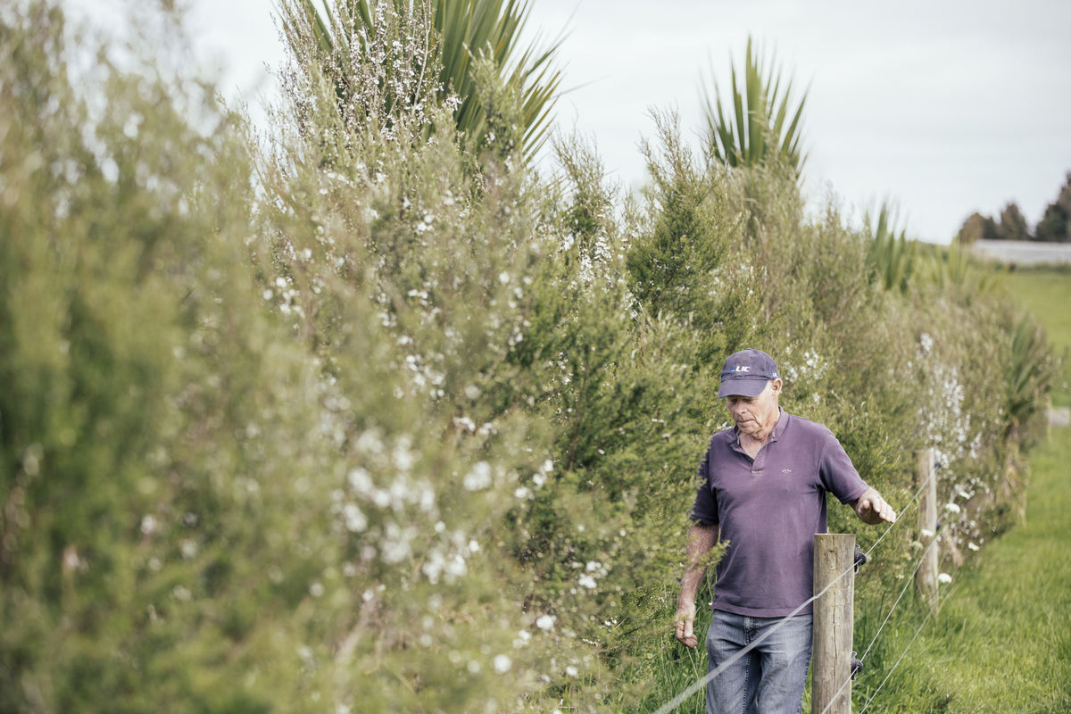 Graeme Gillett on farm