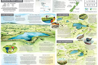 Waikato Peat Lakes high resolution map