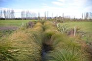 Transforming drains to streams