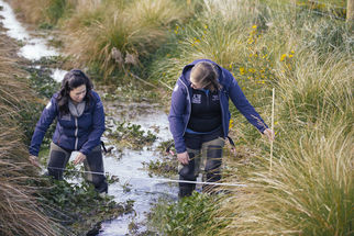 CAREX catchment report 2021