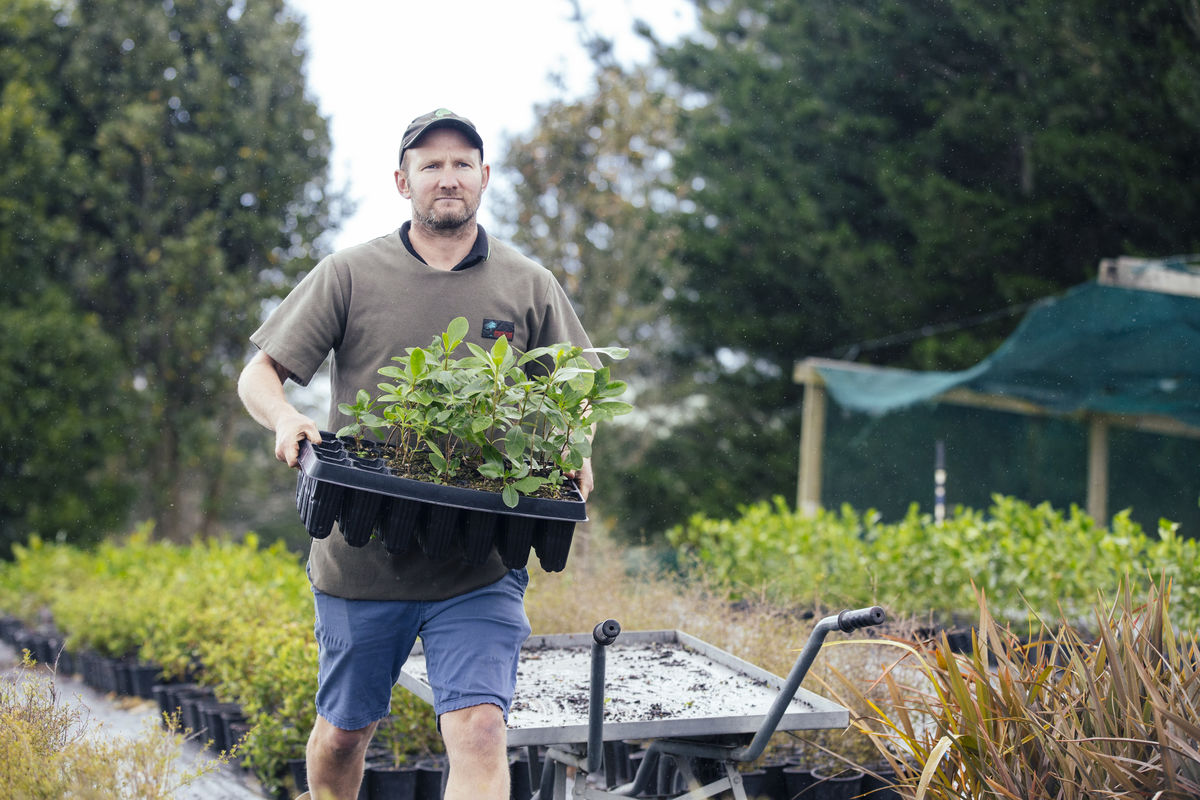 John Walter with plants at Te Whangai Trust nursery