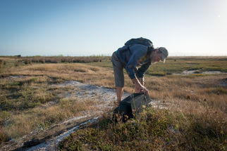 Coastal Wildlife Habitat Acquisition and Restoration