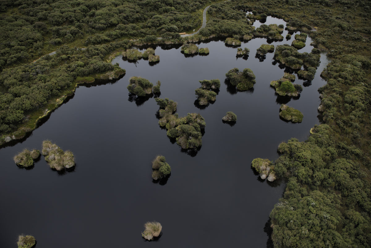 Waituna peat lake