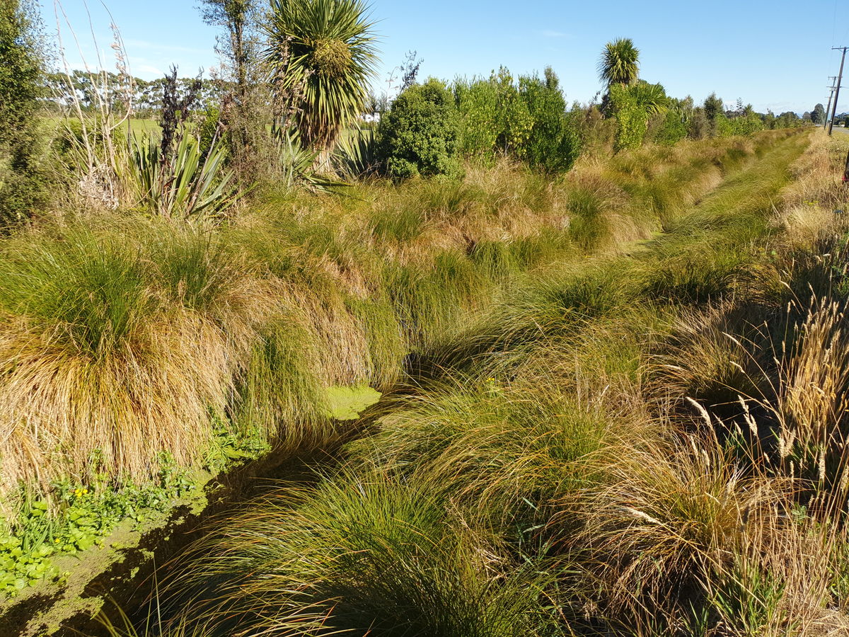 powells Road Waterway