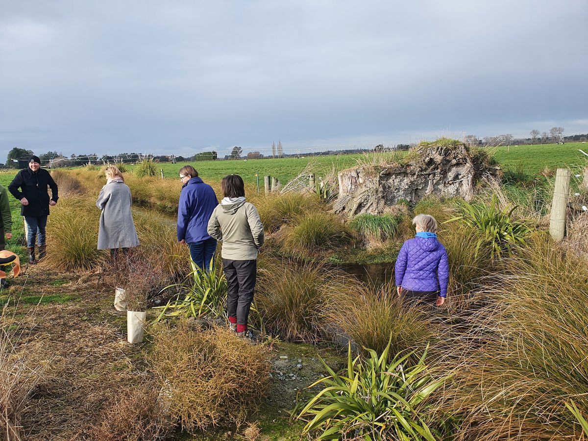 Ararira-LII fieldtrip 2019