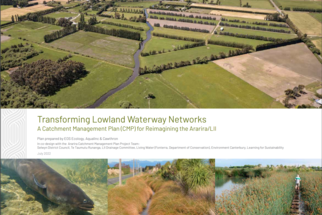 Ararira-LII Catchment Management Plan