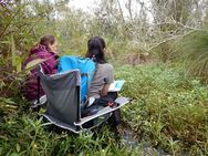 listening for crake -seated