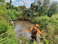 Planting sediment traps