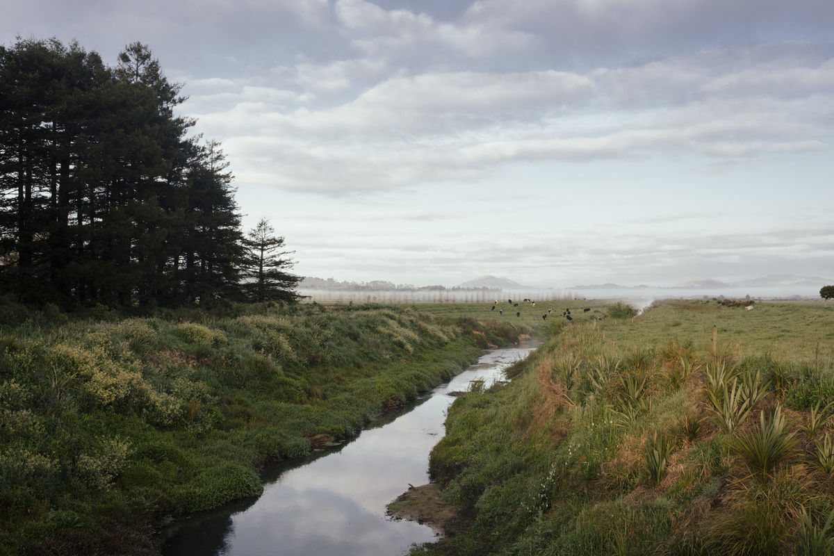 Stream in wairua catchment