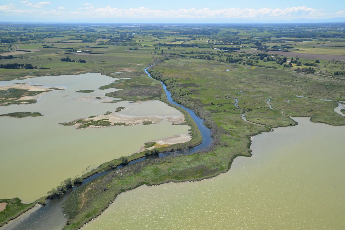 Ararira-LII flowing into Te Waihora