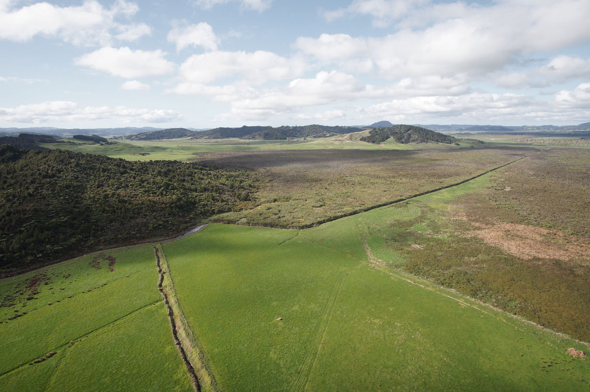 Otakairangi aerial