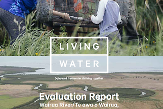 Wairua Evaluation Report July 2024