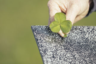 Literature review of Fine Particle Application 2017