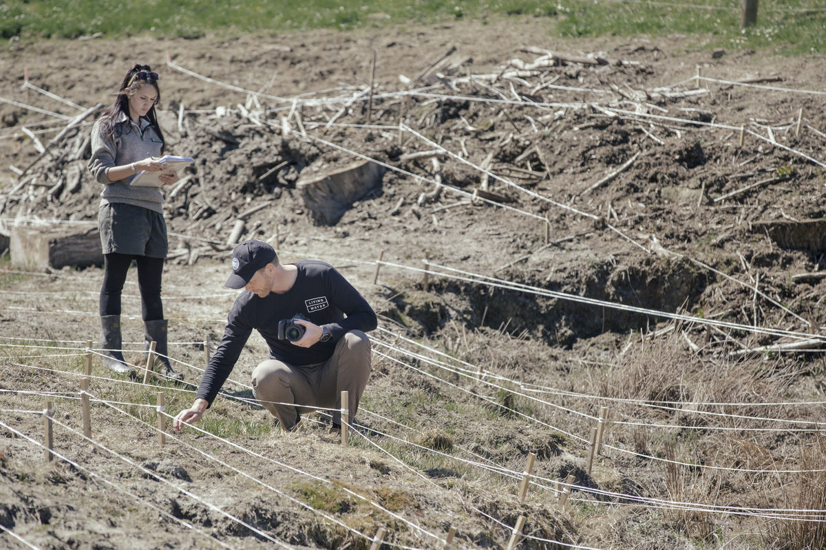 Hydroseeding trial photo