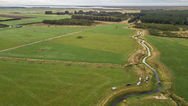 Waituna Creek through farmland
