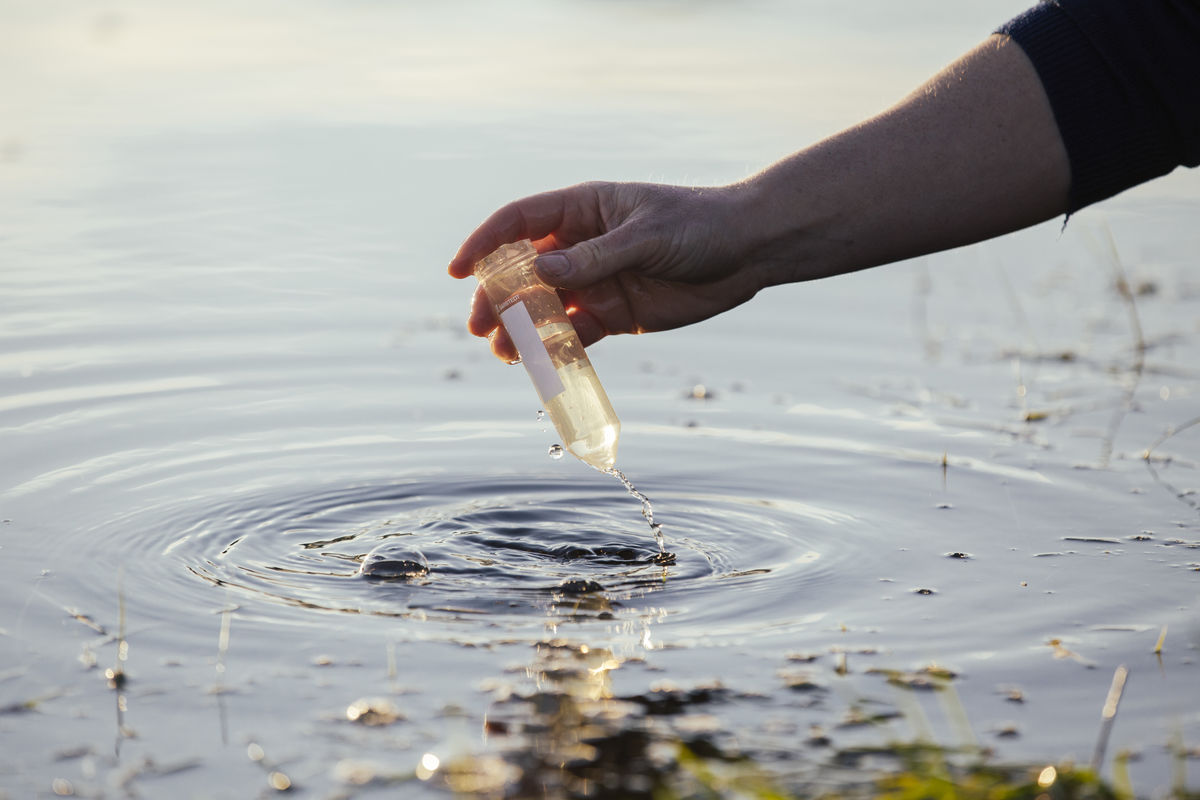 Water sampling in Waituna
