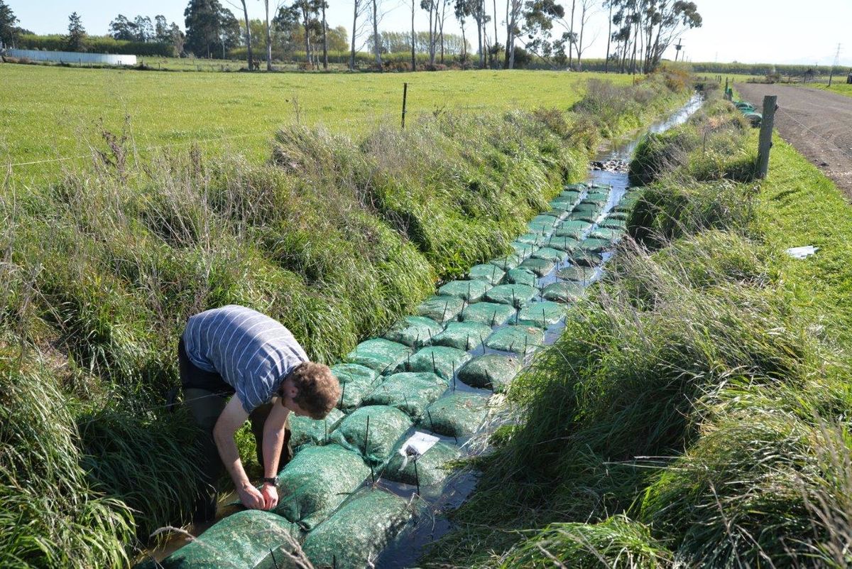 In-stream bioreactor