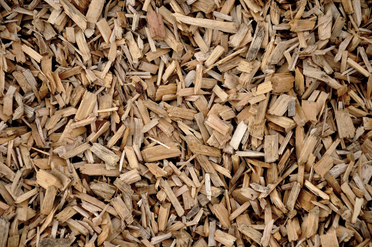 Woodchips