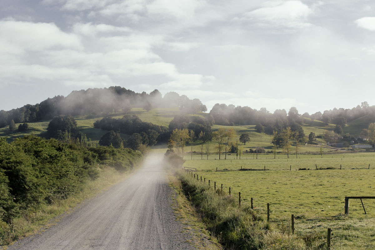 Wairua farm road