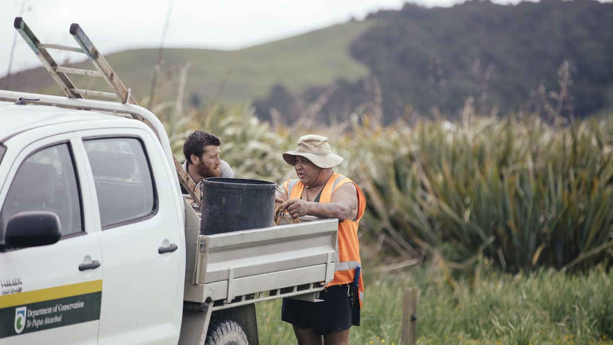 What we did/Ngā mahi kei te haere