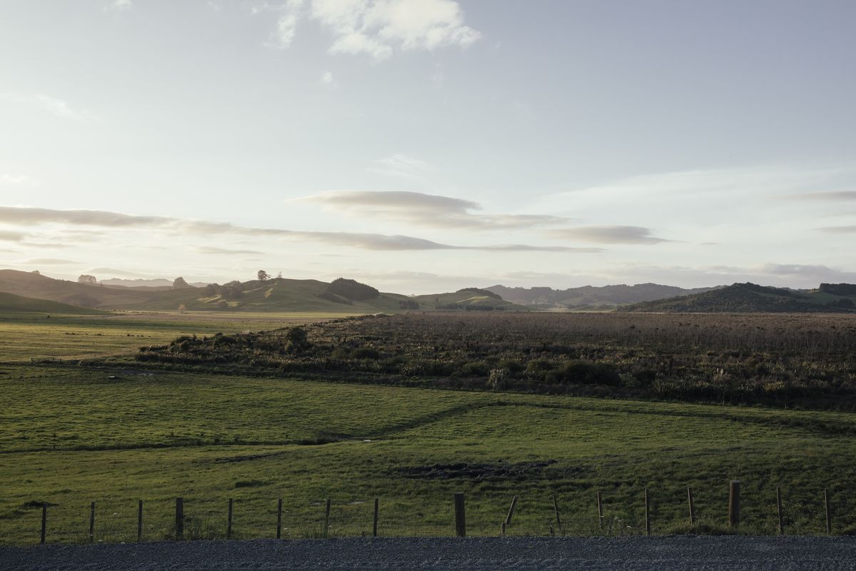 Otakairangi Wetland in horizon