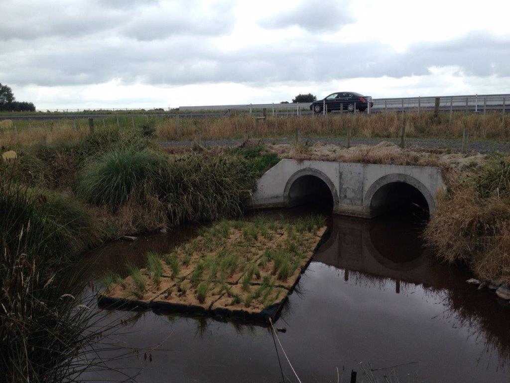 Floating wetlands near bridge
