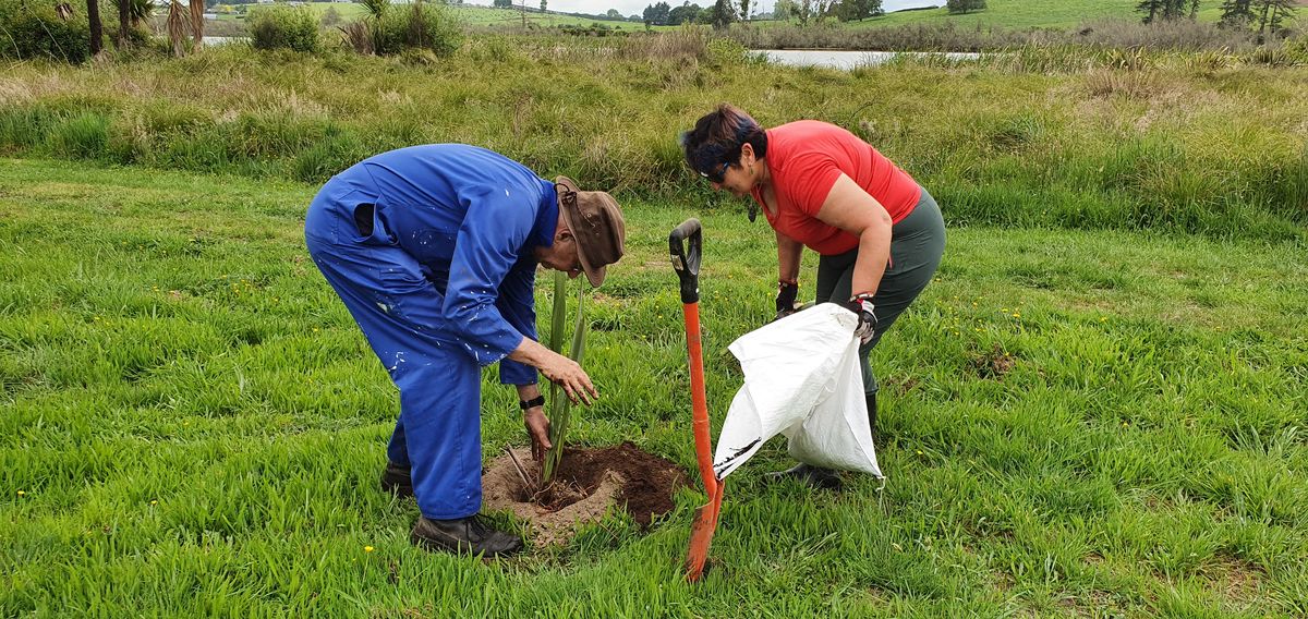 Penney and Rob Cameron planting flax at Lake Ruatuna
