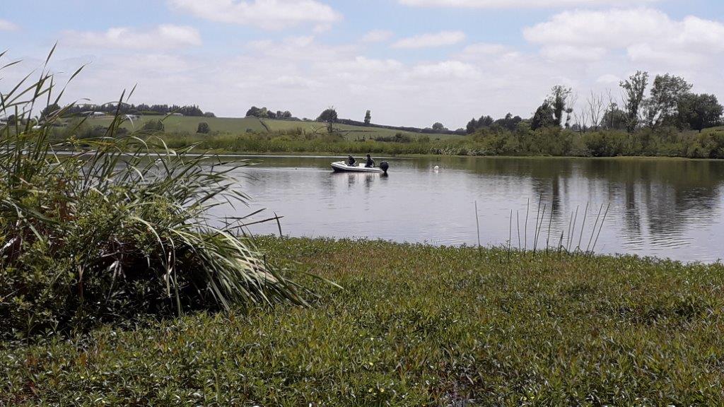 Pest Fishing on Lake Ruatuna