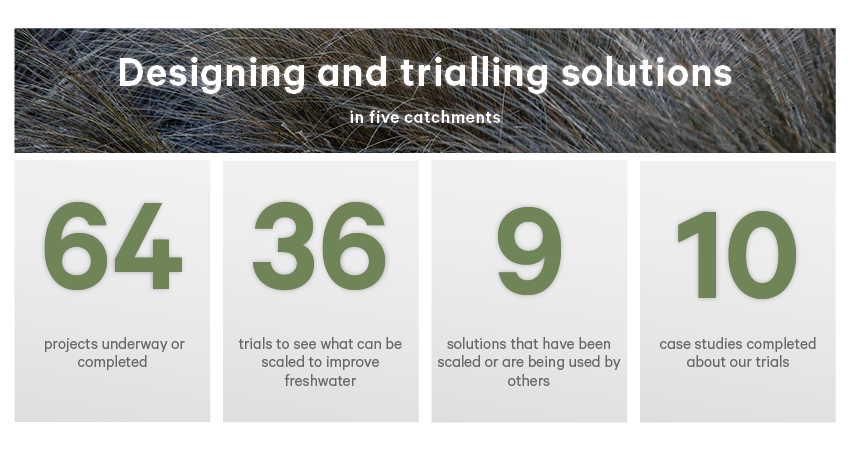 Designing and trialling solutions in five catchments